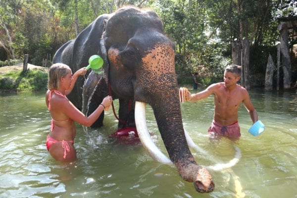 Funny bathing with elephant 30 mins