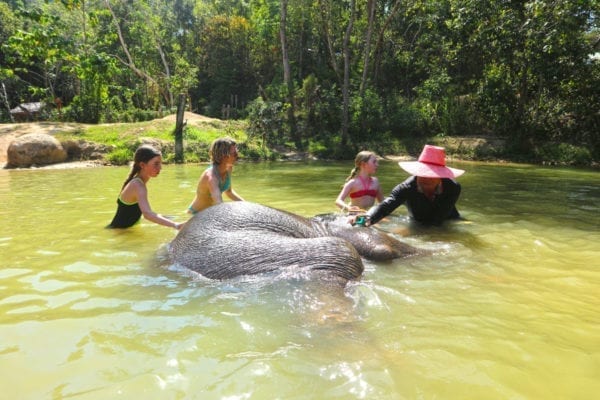 Funny bathing with elephant 30 mins