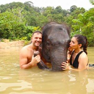 Honeymoon Elephant Care Program