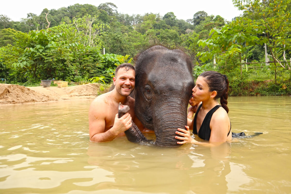 Honeymoon Elephant Care Program