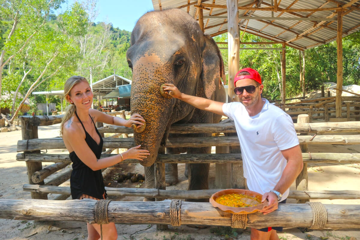 Private VIP Elephant Care Program | Elephant Wildlife Sanctuary Phuket