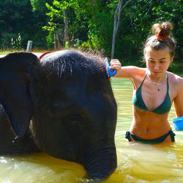 Funny bathing with elephant