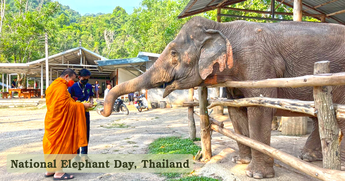 National Elephant Day (Thailand)