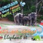 Maha Songkran 2022 at Elephant Wildlife Sanctuary Phuket