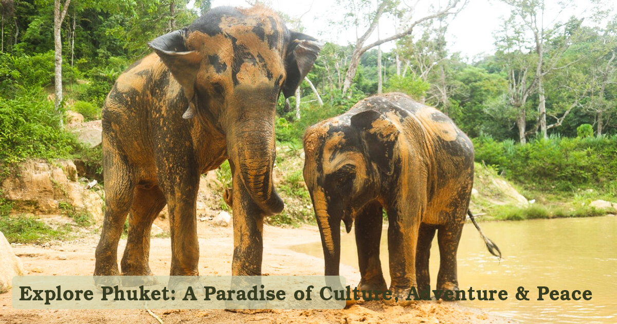 Explore Phuket A Paradise of Culture, Adventure & Peace
